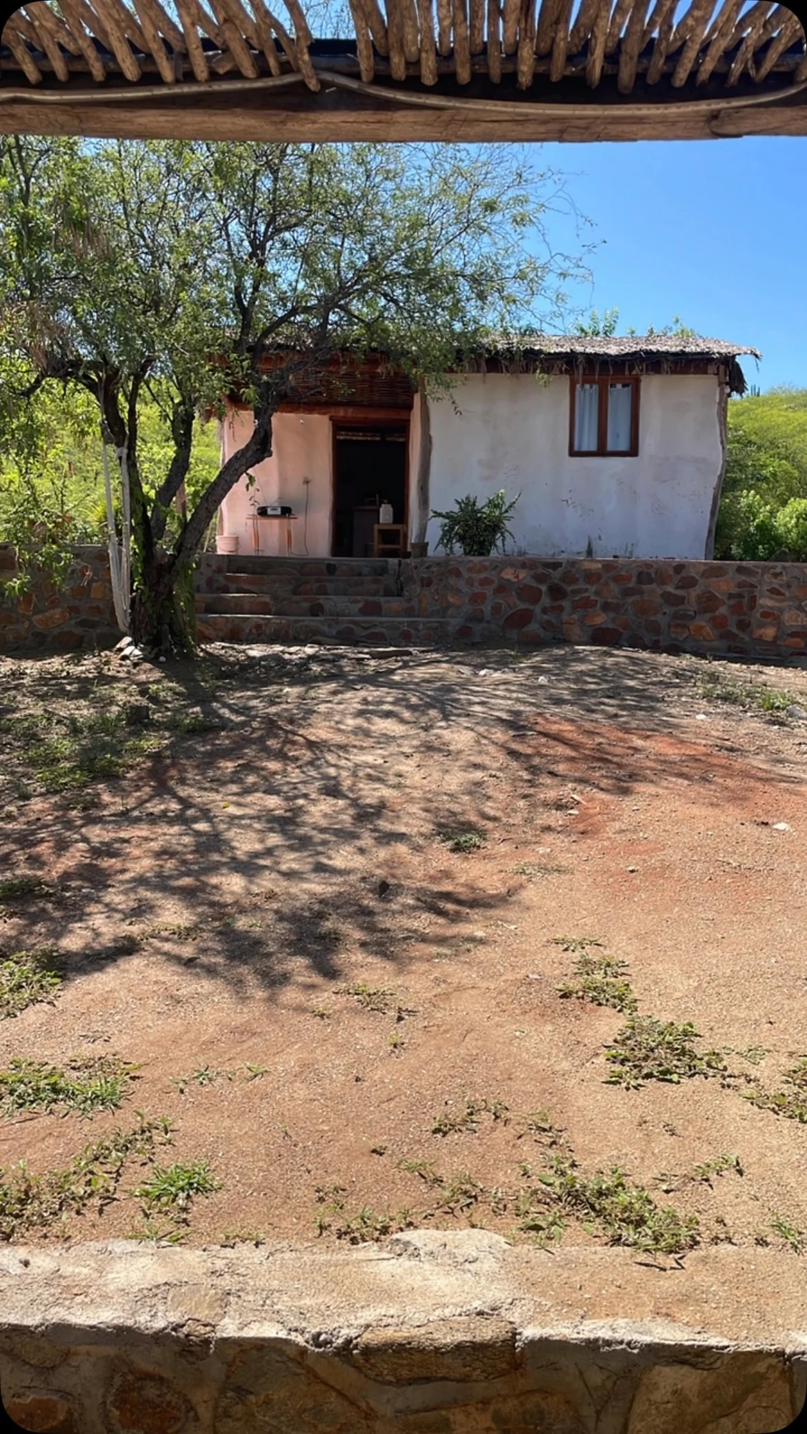 Cabaña rodeada de árboles